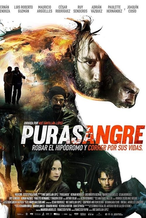 Purasangre