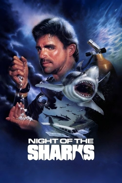 La notte degli squali