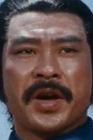 龍飛 (TMDB 937835)